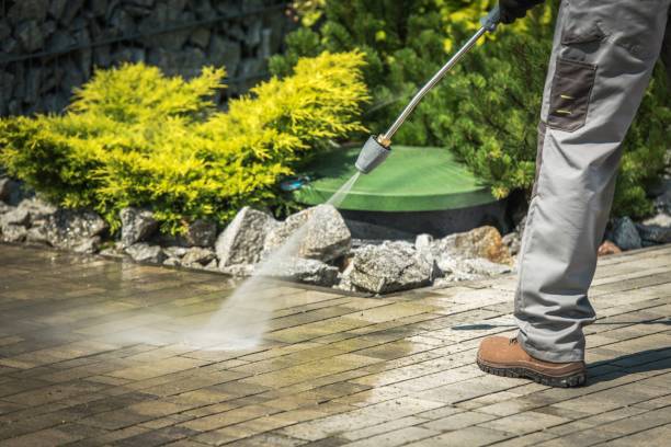 Best Building Exterior Pressure Washing in Campbellsburg, KY