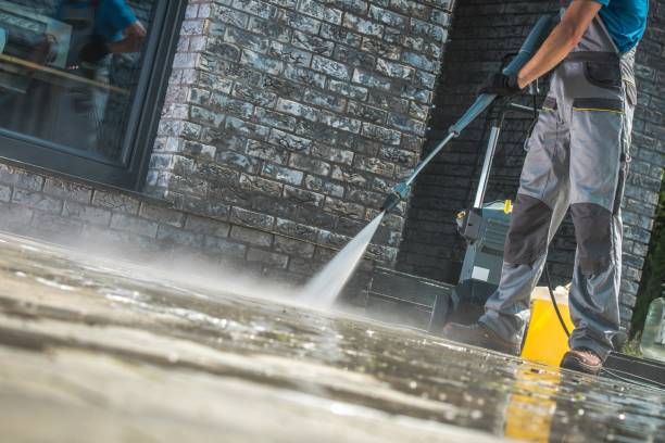 Best Fence Cleaning and Maintenance in Campbellsburg, KY