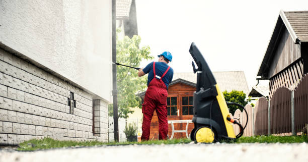 Best Roof Cleaning and Mildew Removal in Campbellsburg, KY